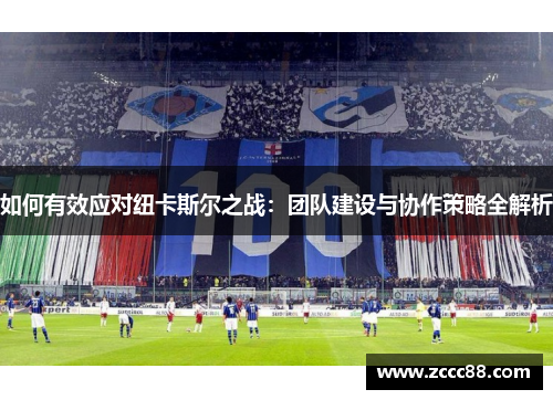 如何有效应对纽卡斯尔之战：团队建设与协作策略全解析